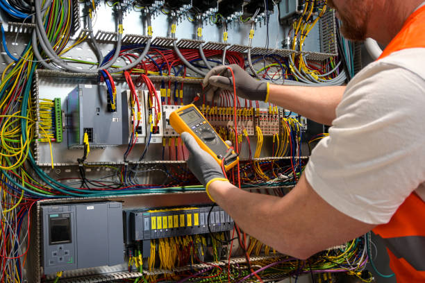 Best Electric Panel Repair  in Rainbow Lakes Estates, FL